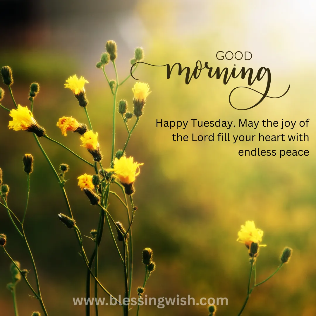 Beautiful Tuesday Morning Blessings