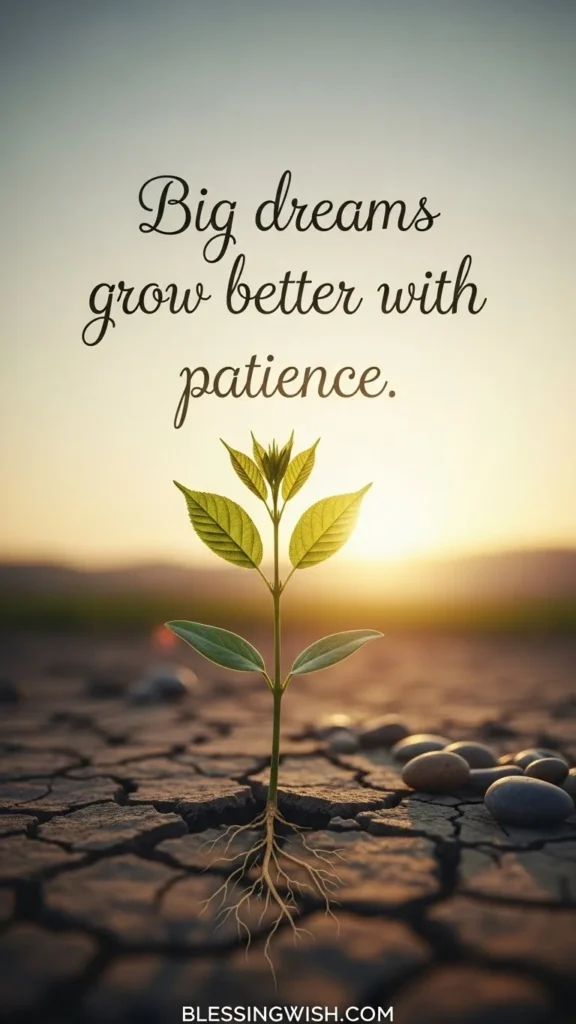 HOW TO USE DREAM BIG QUOTES IN DAILY LIFE?