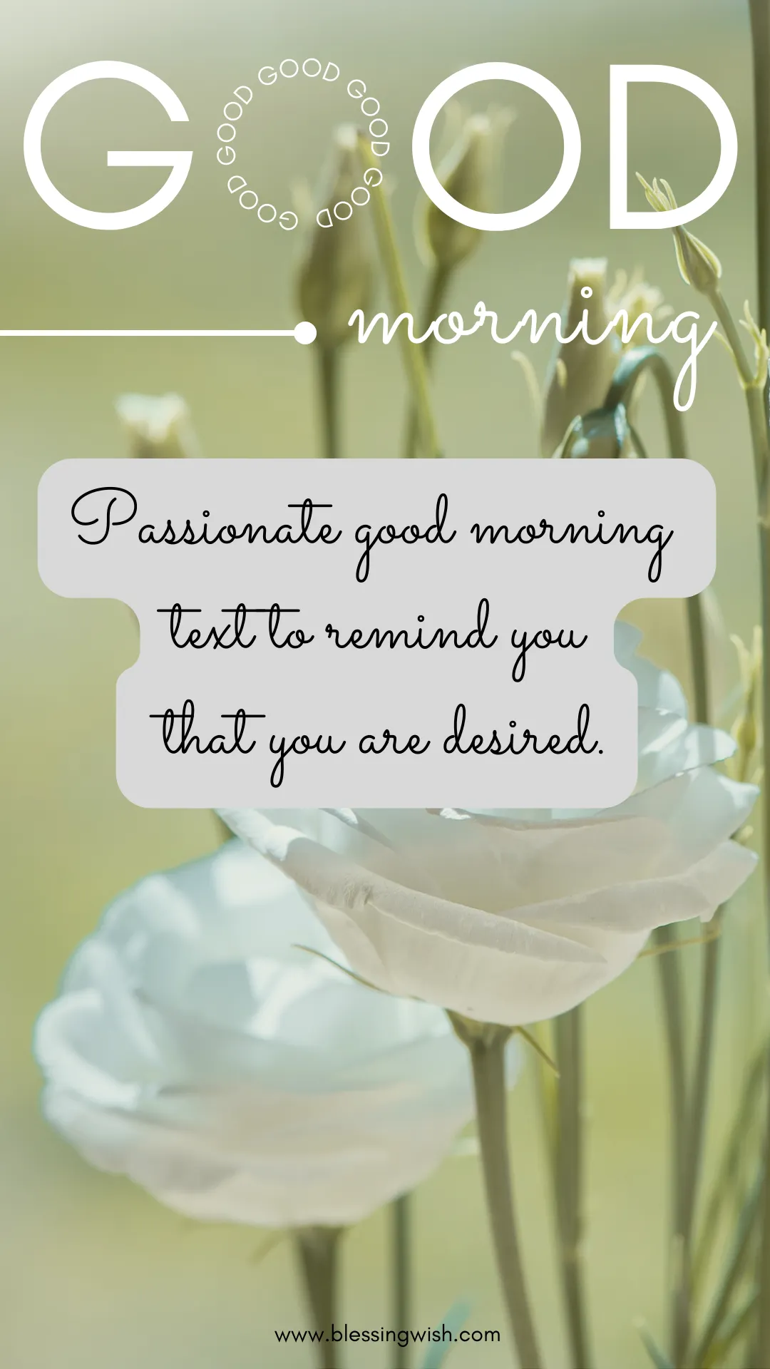 Love Filled Morning Message, Passionate and Flirty Texts